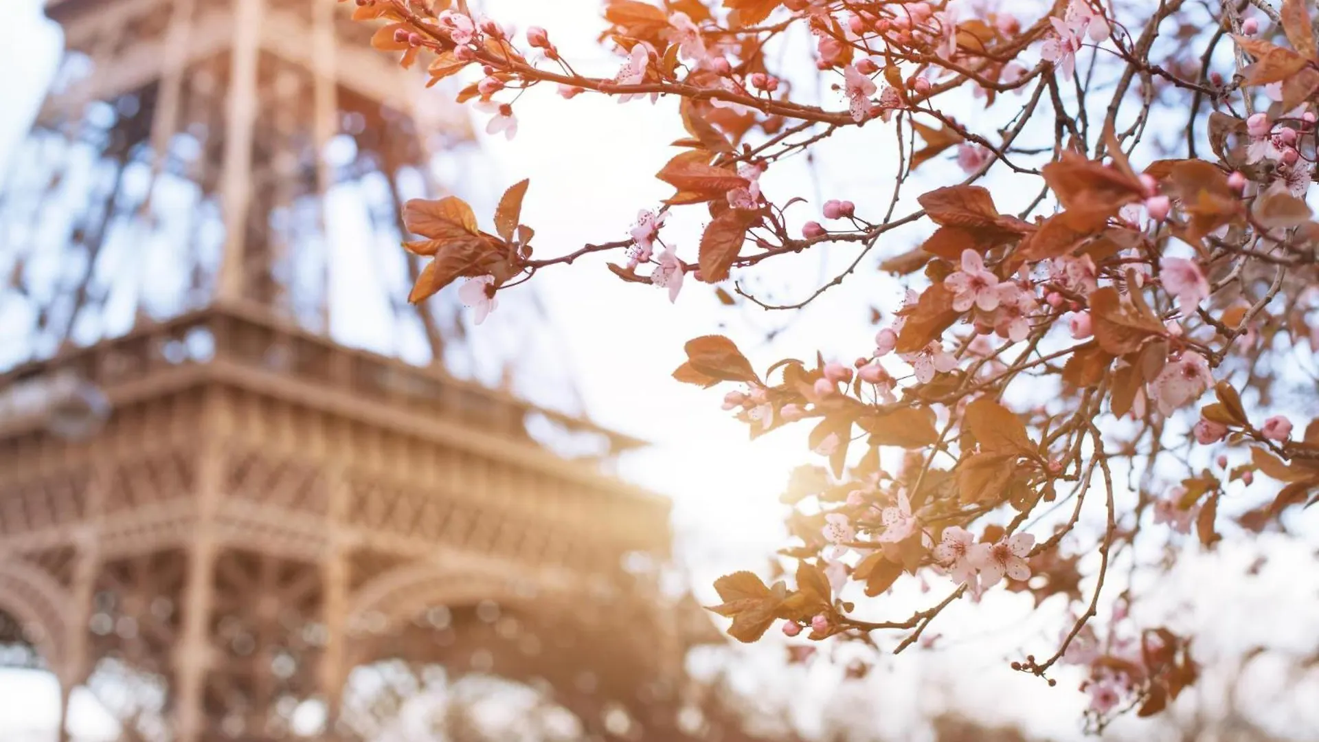 Timhotel Tour Eiffel Paris